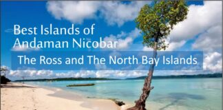 Best Islands of Andaman Nicobar