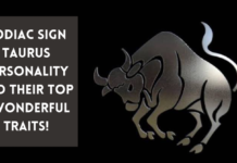 Top 7 traits of zodiac sign Taurus personality